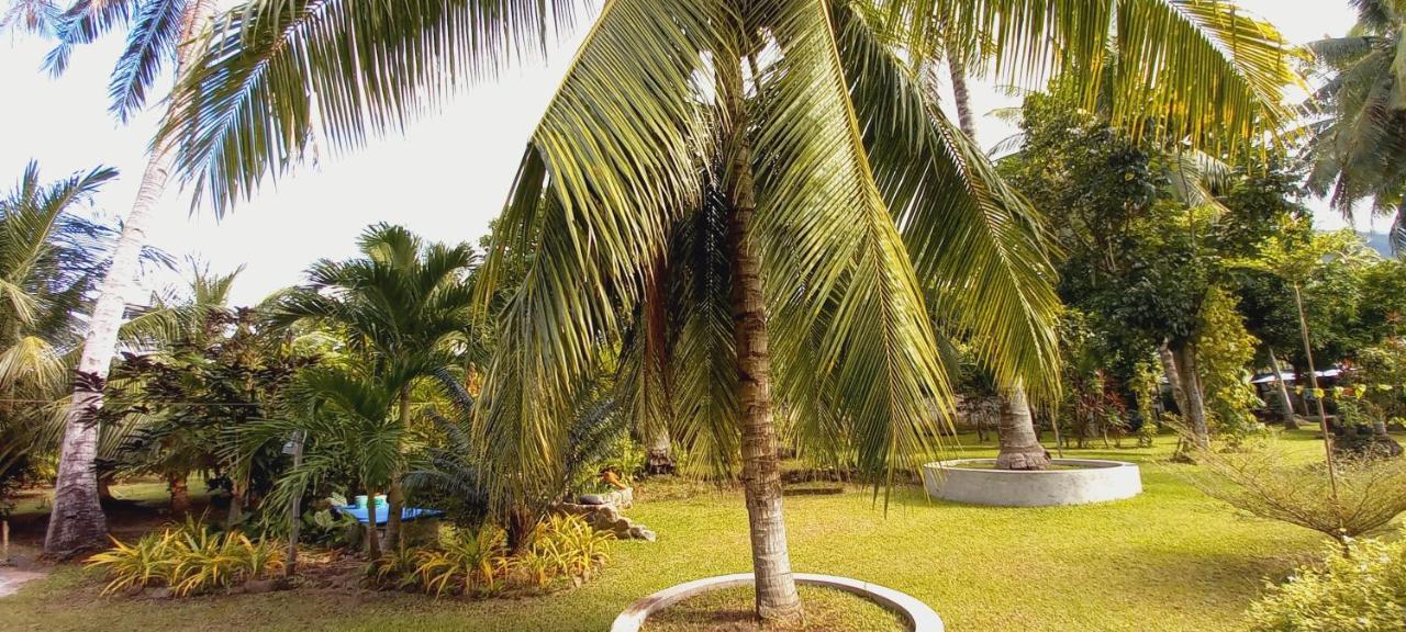 Bat Tree Cottages Agoho المظهر الخارجي الصورة